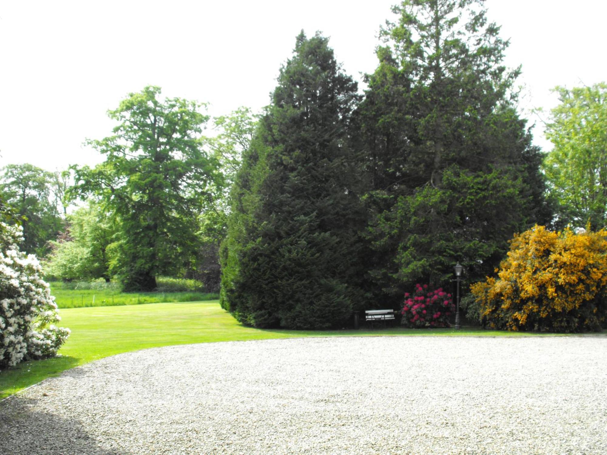 Newforge House Guest House Moira  Eksteriør bilde